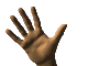 anim384.gif (14606 bytes)